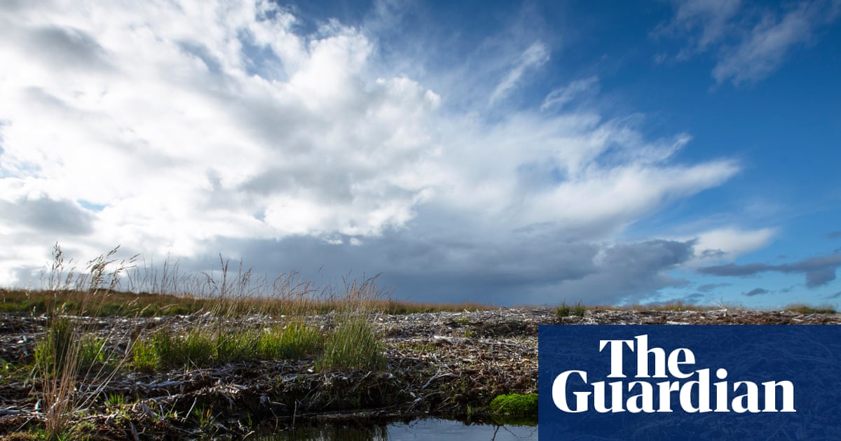 NatureScot may raise ‘more than £100m’ in private investment for conservation | Scotland