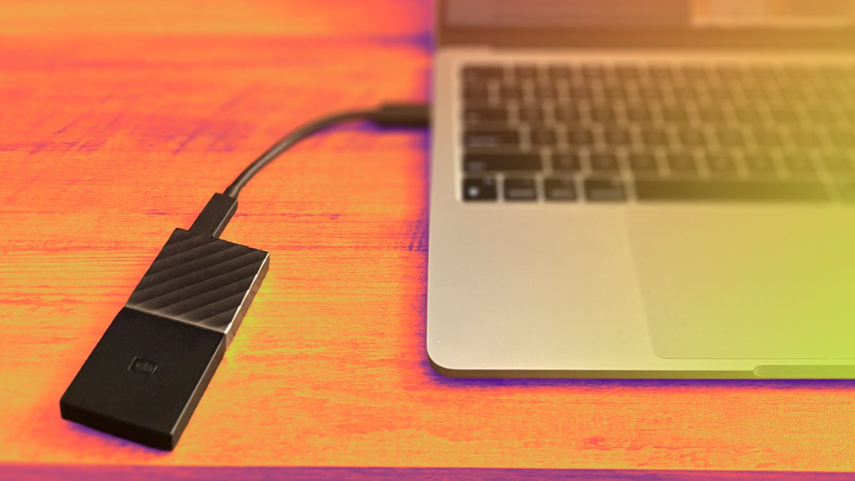 No One Needs to Pay for Cloud Storage. Here’s How I Manage My Photos and Videos Without It